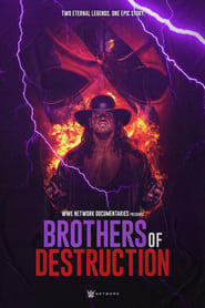 Brothers of Destruction постер