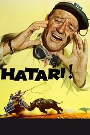 Hatari! poster