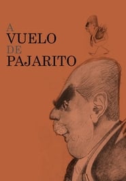 Poster A vuelo de pajarito 2014