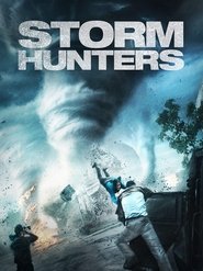 Poster Storm Hunters