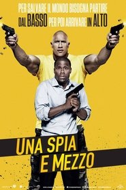 Una spia e mezzo) Una spia e mezzo (2016)