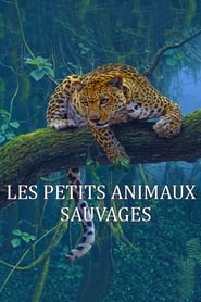 Les petits animaux sauvages постер