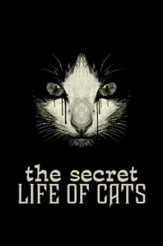 Poster The Secret Life of Cats