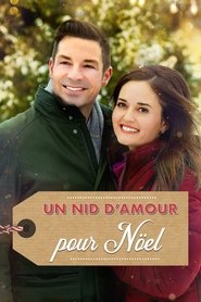 Un nid d'amour pour Noël streaming