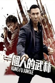 Regarder Kung Fu Jungle en streaming – FILMVF