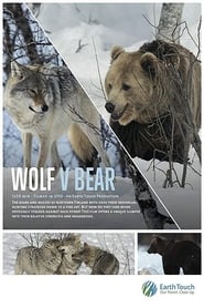 Wolf vs Bear movie