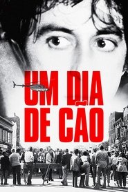 Pôster de Um Dia de Cão
