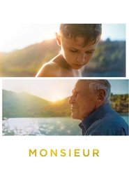 Monsieur film en streaming