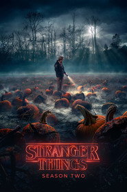 Stranger Things Stranger Things 2 47