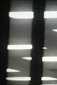 The Phantom Harp (2008)