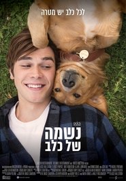 נשמה של כלב (2017)