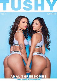 Anal Threesomes 11 poster