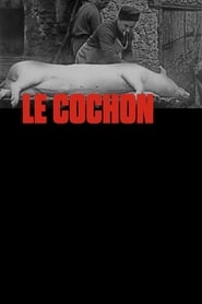 Poster Le Cochon