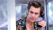 Ace Ventura, détective chiens et chats en streaming