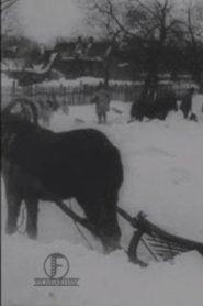 The Great Blizzard in the Baltics in December (1913)