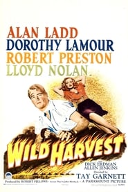 Wild Harvest постер