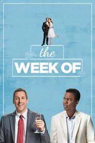 The Week Of (2018) poster