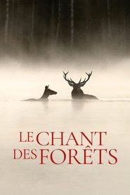 Affiche de Le chant des forêts