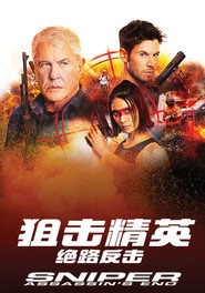 狙击精英：绝路反击