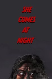 Poster She Comes at Night