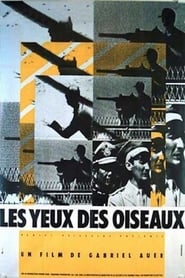 Poster Les yeux des oiseaux