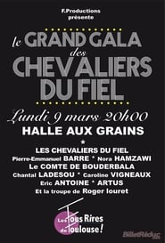 Poster Le grand gala des Chevaliers du Fiel
