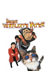 Dieser verflixte Kater 1997 film online schauen subs german in
deutschland