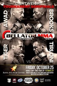 Poster Bellator 105