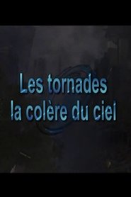 Poster Les tornades, la colère du ciel 2001