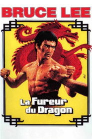 La Fureur du dragon