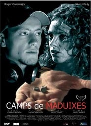 Camps de maduixes