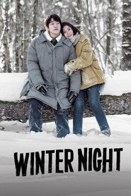 Winter Night poster
