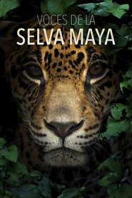 Voces de la Selva Maya: Una Batalla por la Vida (2025)