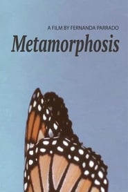 Metamorphosis