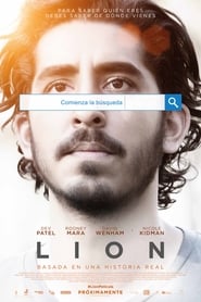 Lion poster