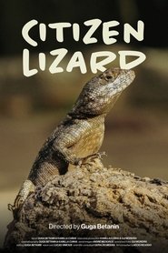 Cidadão Calango (2025)