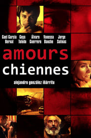 Amours chiennes streaming