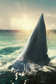 When Sharks Attack 360 poster