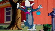 Posse Cat
