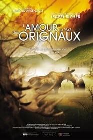 Poster L'amour au pays des orignaux