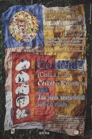 Co delat? Cesta z Prahy do Ceského Krumlova aneb Jak jsem sestavoval novou vládu 1996