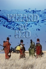 Poster The Wizard of H2O 2015