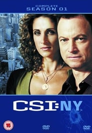 CSI: NY - Season 1 poster