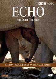 Poster Echo of the Elephants, The Story of an Elephant Family 1992