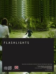 Poster Flashlights 2021