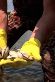 Turning Tides (2007)