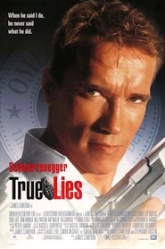 True Lies (1994) Hindi Dubbed