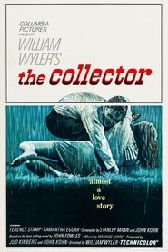 The Collector The Collector