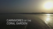 Episode 1: Carnivores of the Coral Garden