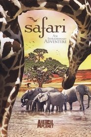 The Last Lion of Liuwa (2010)